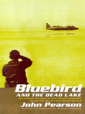cover image of Bluebird & the Dead Lake